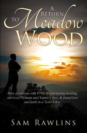 A Return to Meadow Wood