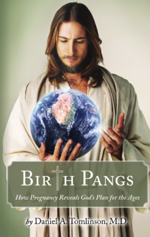 Birth Pangs: How Pregnancy Reveals God's Plan for the Ages