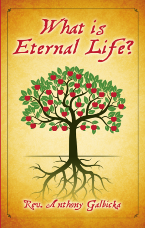 What Is Eternal Life?