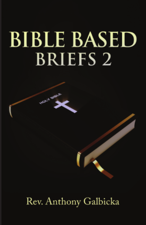 Bible Based Briefs 2