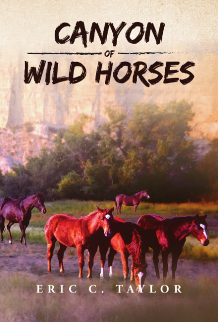 Canyon of Wild Horses